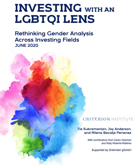 Read more about the article Investing with an LGBTQI Lens: Rethinking Gender Analysis Across Investing Fields